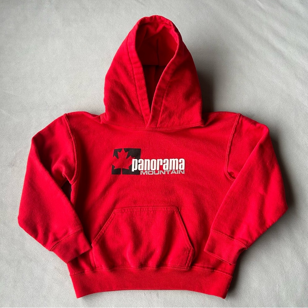 Panorama Mountain ~ Hoodie ~ Youth Size S